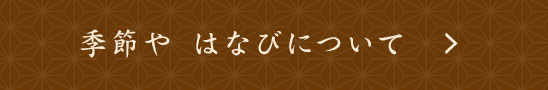 季節や はなびについて